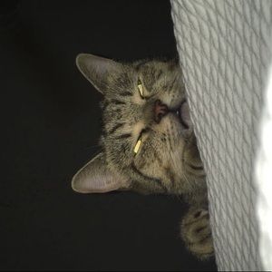 Meet your Posher, Chris